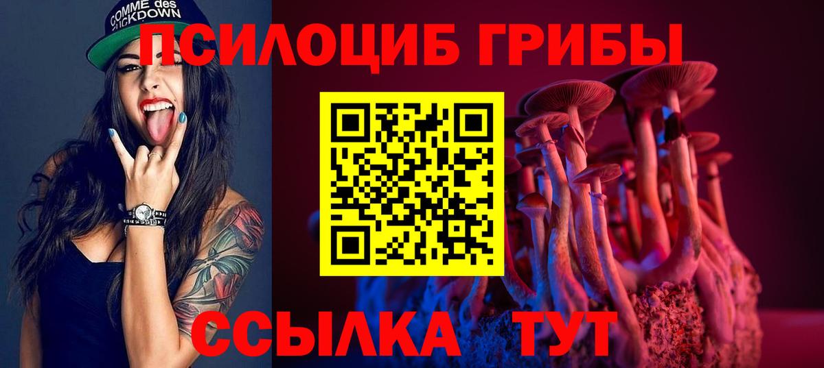 Галлюциногенные грибы мицелий Кимовск